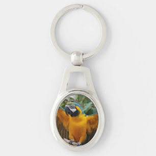 Blauund GoldMacaw Schlüsselanhänger