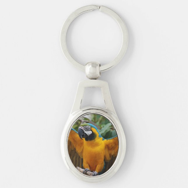 Blauund GoldMacaw Schlüsselanhänger (Vorderseite)