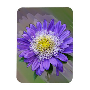 Blauviolett-Blume Magnet