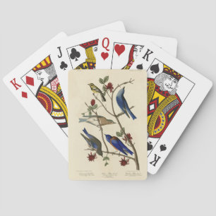 Blauvögel und Warbler, Audubons Vögel von Amerika Spielkarten