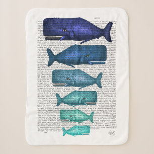 Blauwal-Familie Sherpadecke