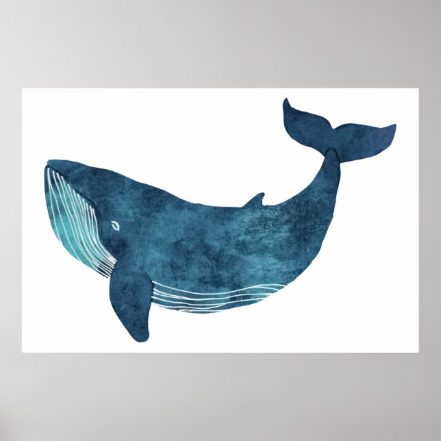 Blauwal-Illustration Poster (Vorne)