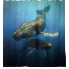 Blauwale Duschvorhang
