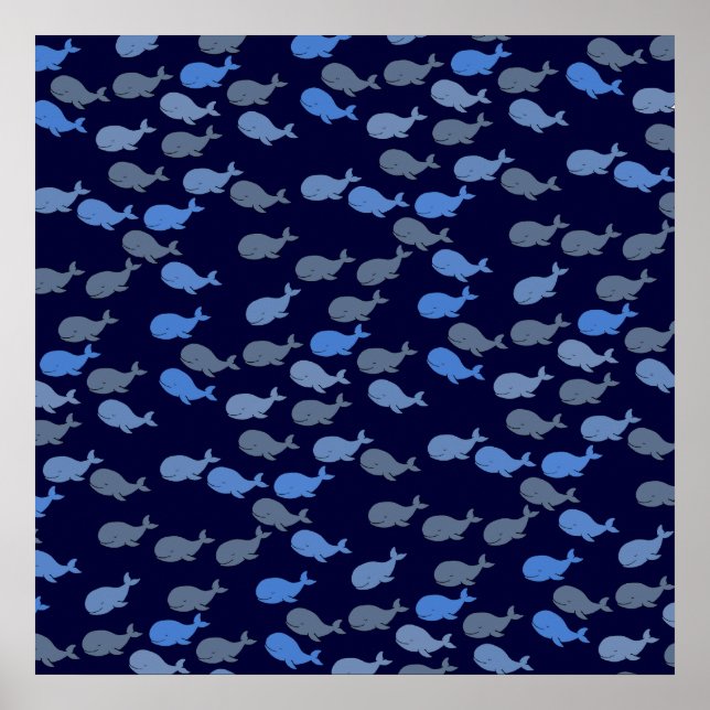 Blauwale für Wände Poster (Vorne)