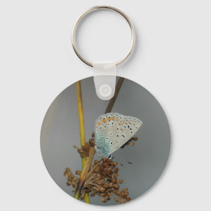 Blauweißer Orange mit schwarzem Schmetterling Schlüsselanhänger