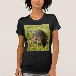 Blauzungenechse, die im Gras einbricht, T-Shirt