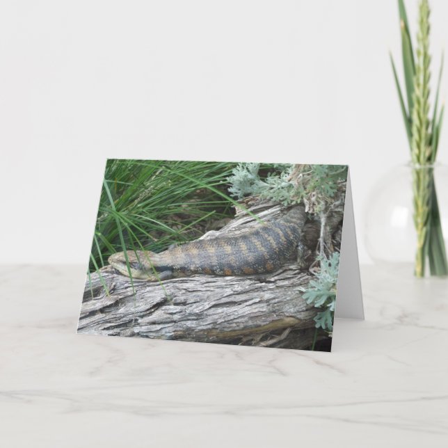 Blauzungenkarte Lizard Grußkarte Karte (Vorderseite)