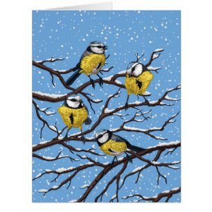 Blauzungenvögel im Winter