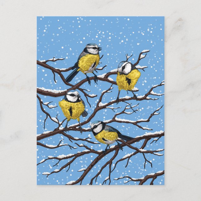 Blauzungenvögel im Winter Postkarte (Vorderseite)