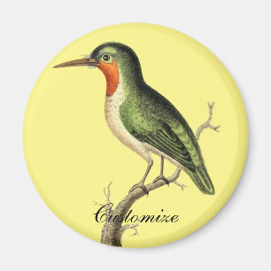 Blazing Sun Thunder_Cove Magnet