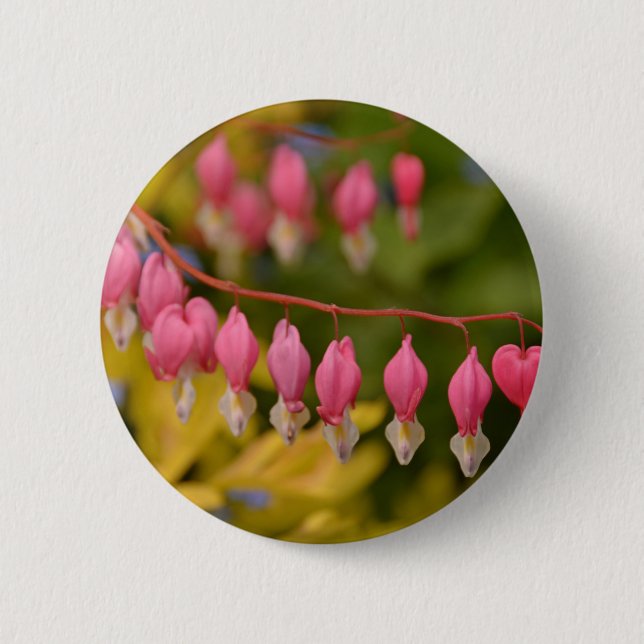 Bleeding Hearts Macro Button (Vorderseite)