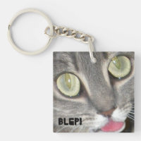 Blei Katzenpfropfkleber
