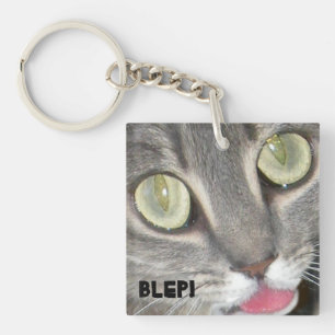 Blei Katzenpfropfkleber Schlüsselanhänger