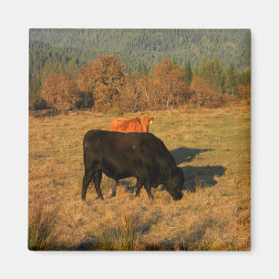 Bleib bei meinem Mann...... Magnet