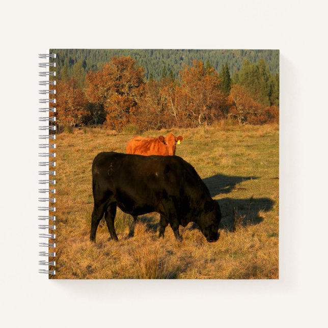 Bleib bei meinem Mann.... Notizbuch (Vorderseite)