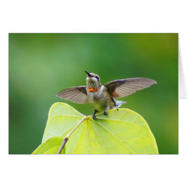 Bleib einfach vorbei!