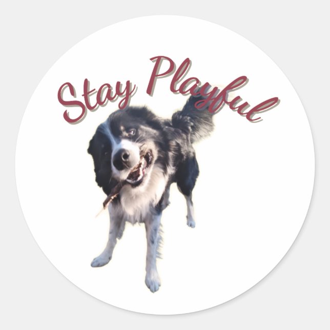 Bleib Spielzeug Hund Aufkleber (Vorderseite)