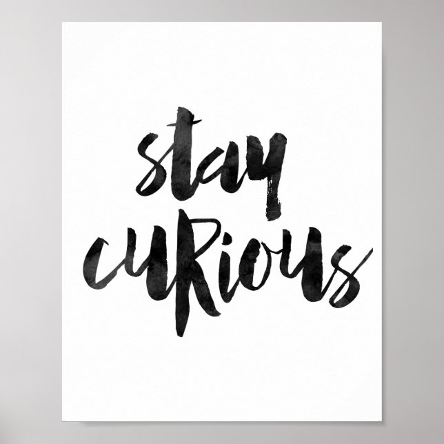 Bleibe Curious Poster (Vorne)