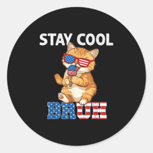 Bleibe der Coolen Katze Popsicle Lover American Fl Runder Aufkleber