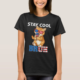 Bleibe der Coolen Katze Popsicle Lover American Fl T-Shirt