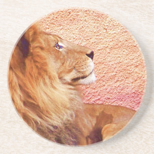 Bleibe Focused_ Getränkeuntersetzer