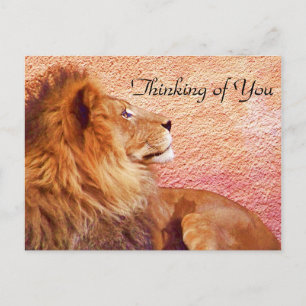 Bleibe Focused_ Postkarte