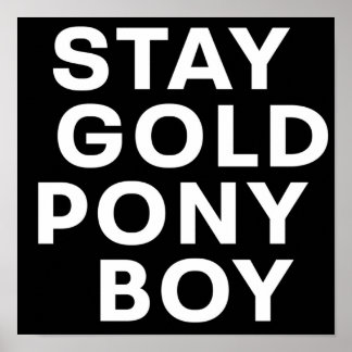 BLEIBE GOLD PONY BOY POSTER