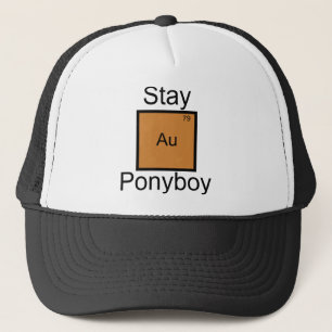 Bleibe Gold Ponyboy Element Puff Truckerkappe