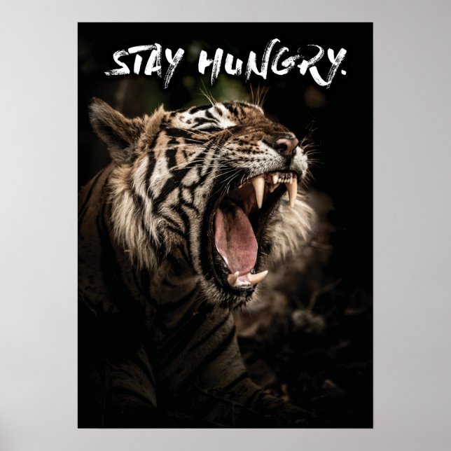Bleibe Hunger - Tiger Roaring Poster (Vorne)