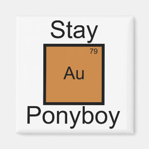 Bleibe Sie GoldPonyboy Element-Wortspiel Magnet