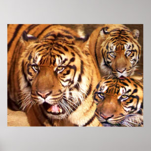 Bleibe Strong_ Poster