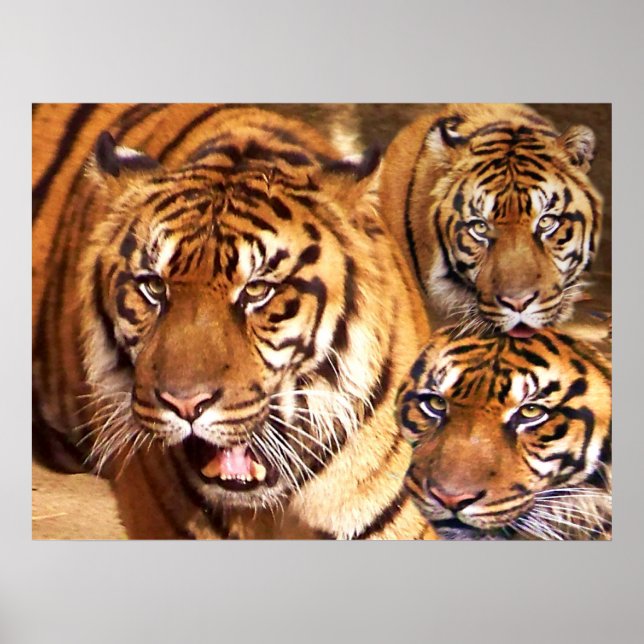 Bleibe Strong_ Poster (Vorne)