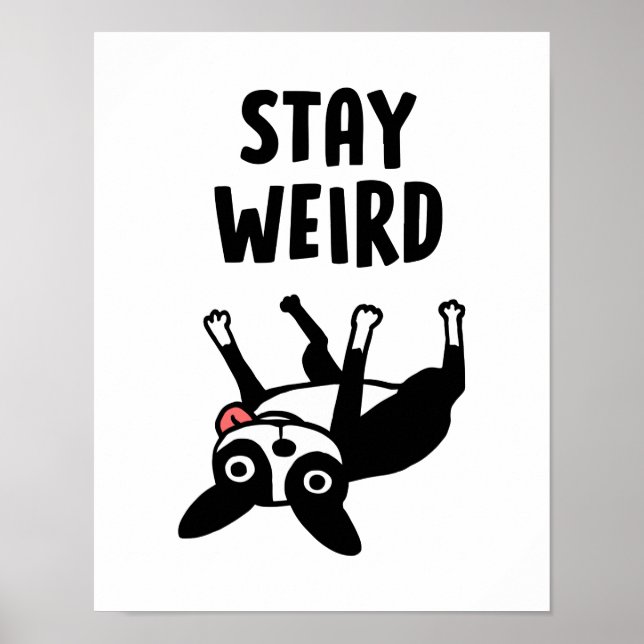Bleibe Weird Boston Terrier Funny Dog Poster (Vorne)