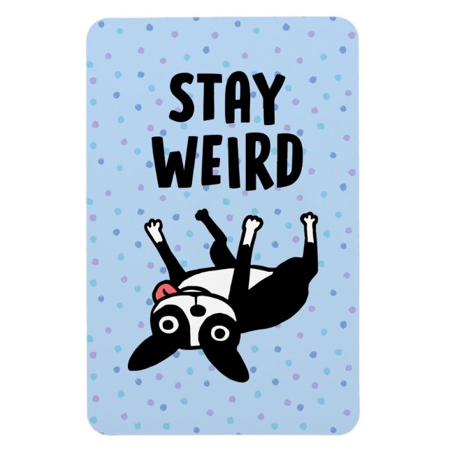 Bleibe Weird Funny Boston Terrier Dog Magnet (Vertikal)
