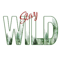 Bleibe Wild Wasserfarbe Wald Kiefern Natur Typo