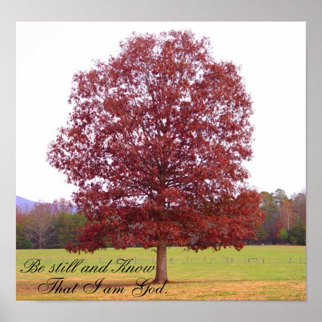 bleiben poster (Vorne)