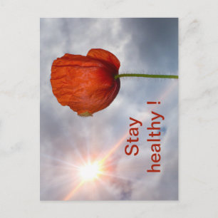 Bleiben Sie gesund mit roter Blume Postkarte