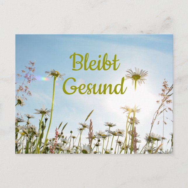 Bleibt Gesund - Postkarte (Vorderseite)