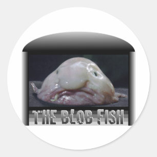 Bleichfisch Runder Aufkleber