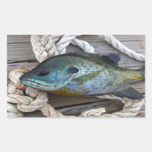 Bleichfische auf Dock und Seil Rechteckiger Aufkleber