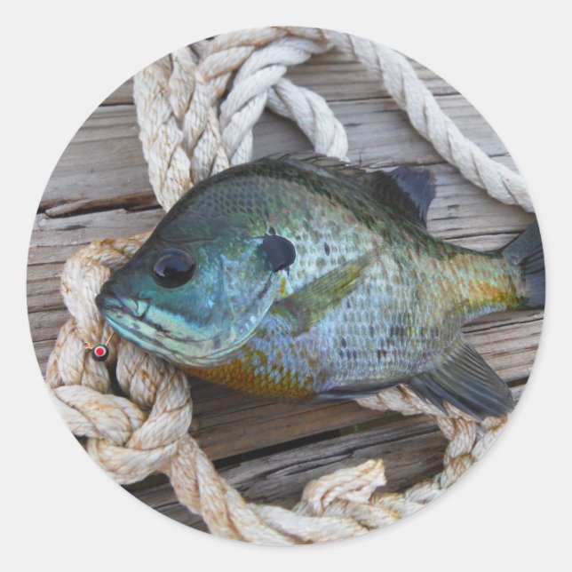 Bleichfische auf Dock und Seil Runder Aufkleber (Vorderseite)