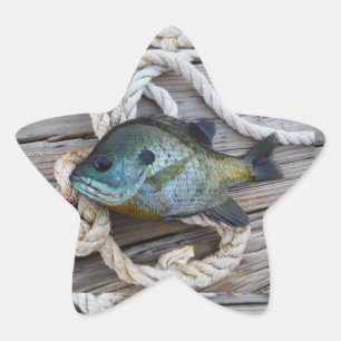 Bleichfische auf Dock und Seil Stern-Aufkleber