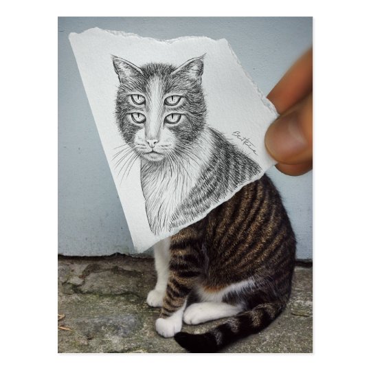 Bleistift Gegen Kamera 4 Augen Katze Postkarte Zazzle Ch