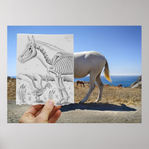 Bleistift gegen Kamera - Röntgenstrahl Poster