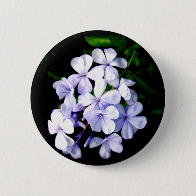 Bleiwurz Button (Vorderseite)