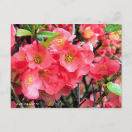 Blendenzeit [Postkarte] Postkarte