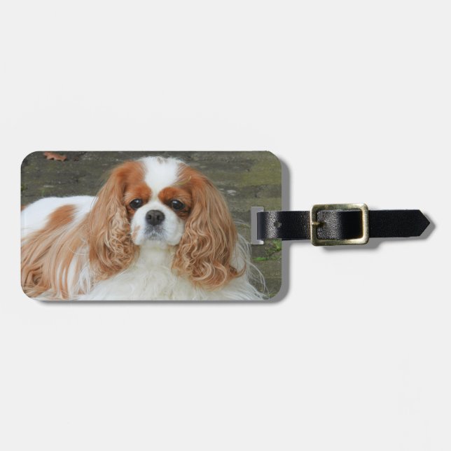 Blenheim Cavalier King Charles Puppy Dog Gepäckanhänger (Vorderseite horizontal)