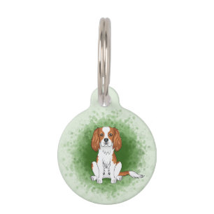 Blenheim Cavalier King Charles Spaniel auf Green Haustiermarke