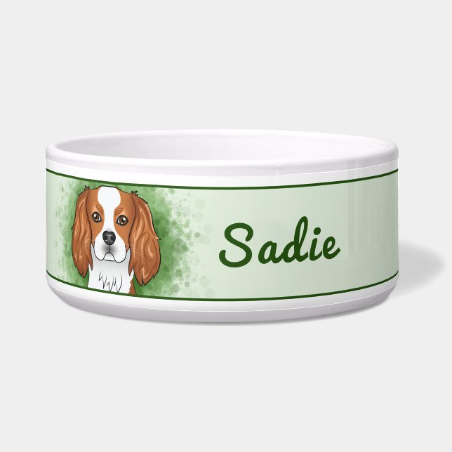 Blenheim Cavalier King Charles Spaniel auf Green Napf (Vorderseite)