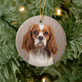 Blenheim Cavalier King Charles Spaniel Dog Keramik Ornament